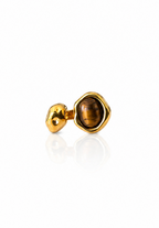 ASTER RING